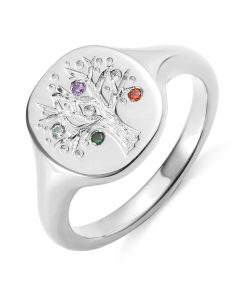 Anello con sigillo personalizzato con pietra del parto dell'albero genealogico