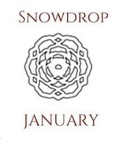 Januar Schneeglöckchen